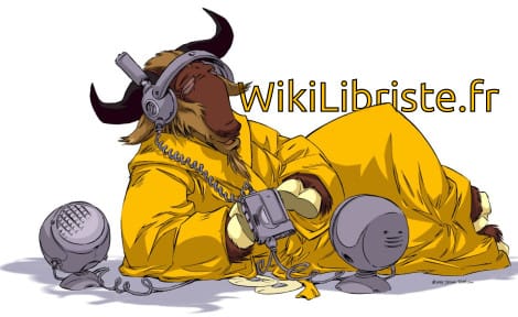 Wikilibriste : un wiki pour reprendre la main sur ses outils numériques